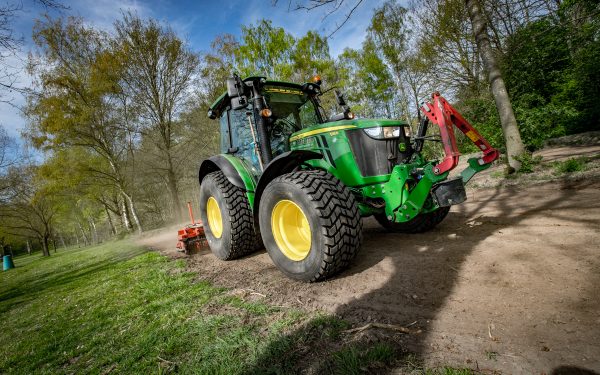 Natuurlijke bestrijding eikenprocessierups