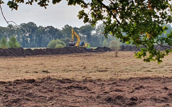 Natuurherstel Empese en Tondense heide